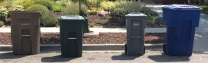 Curbside Bins with Glass Recycling Cart