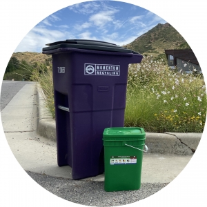 Food Waste Collection Bins