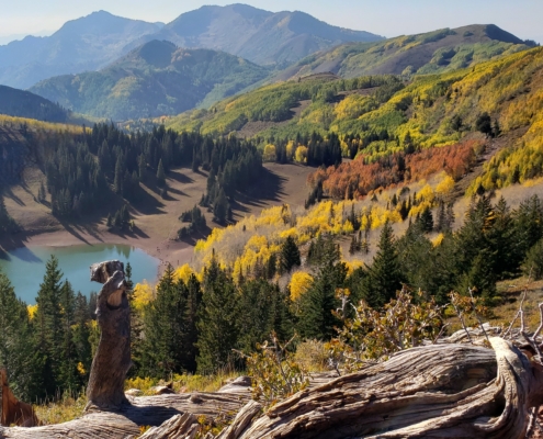 view of Dog Lake in the Wasatch Mountains