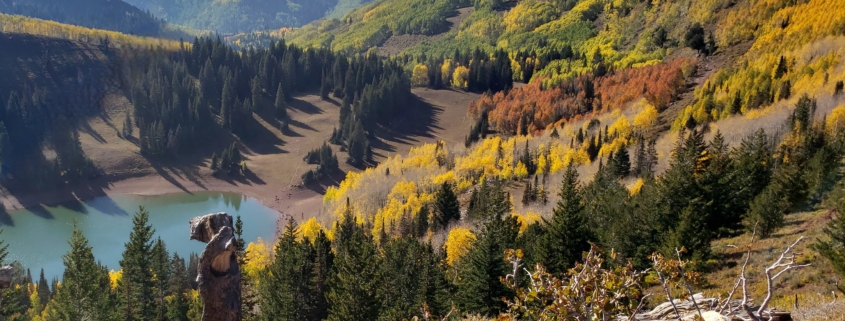 view of Dog Lake in the Wasatch Mountains